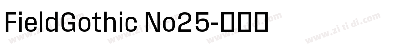FieldGothic No25字体转换